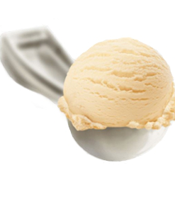 Ice Cream Dipper / Scoop
