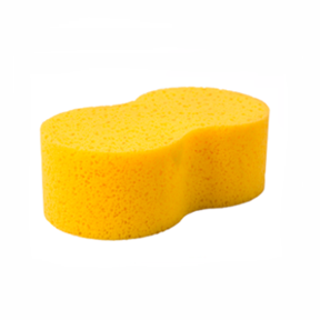 Sponges