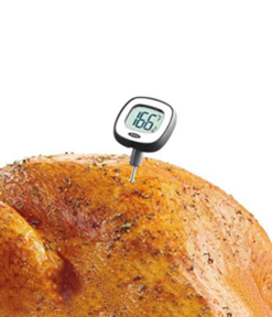 Kitchen Thermometers