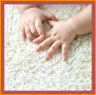 Carpet Care